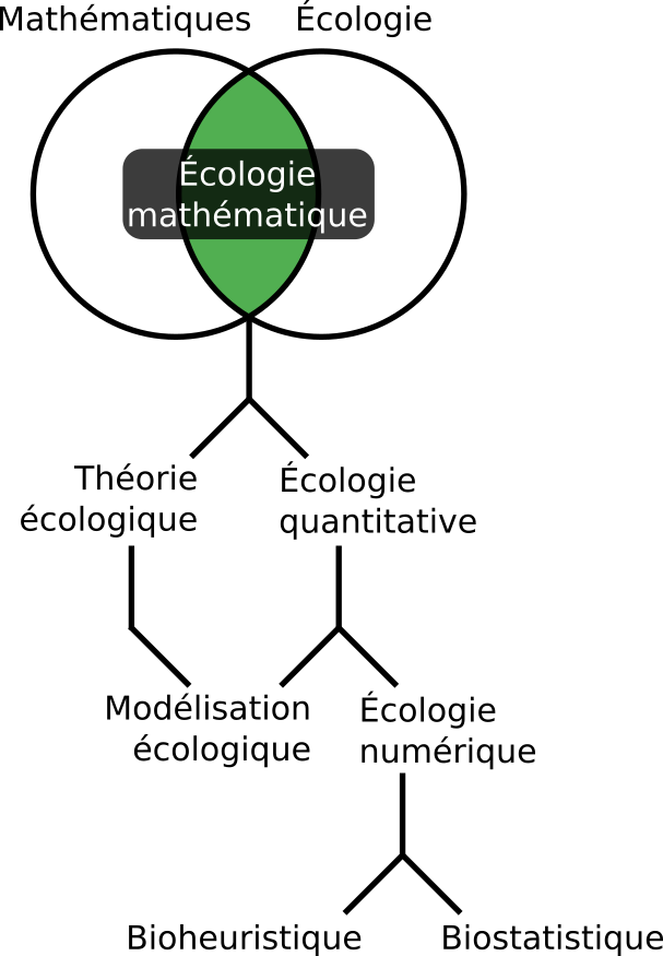 Domaines scientifiques de l'écologie mathématique.