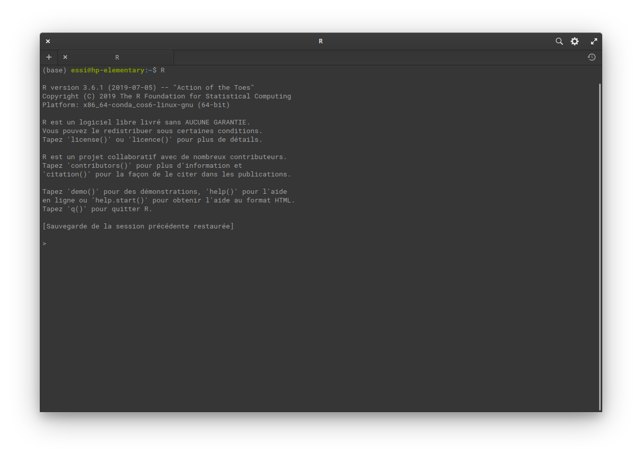 R dans le terminal.