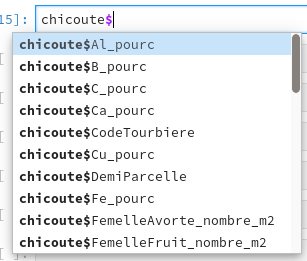 Autocomplétion dans RStudio.